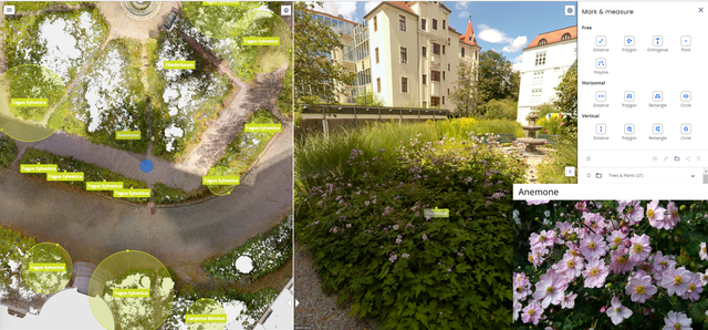 LEED - vegetation type 2
