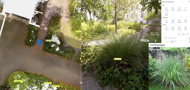 LEED - vegetation type 4